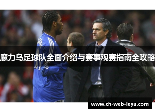 魔力鸟足球队全面介绍与赛事观赛指南全攻略